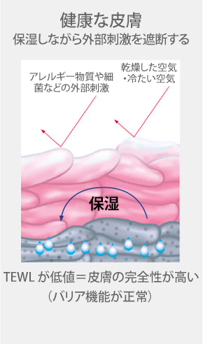 illustration-of-skin-layers-demonstrating-healthy-skin